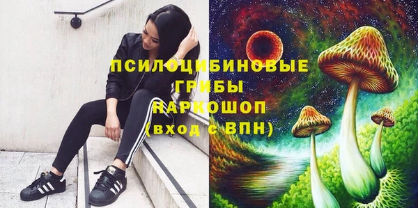 альфа пвп Белокуриха