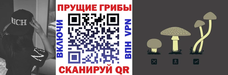 mega вход  Выборг  Галлюциногенные грибы MAGIC MUSHROOMS  где продают  